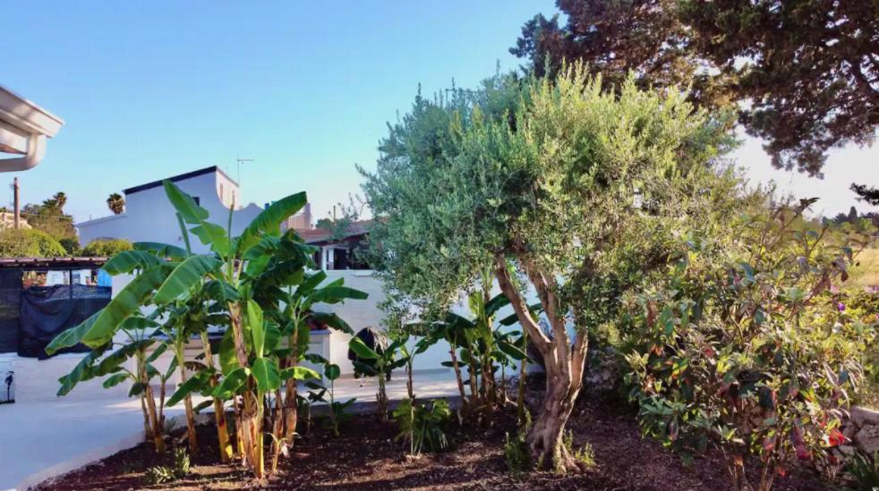 Villa Mare Blue Sr Nuovissima Villa 150M Dal Mare Adatta A Bambini Terrauzza Extérieur photo